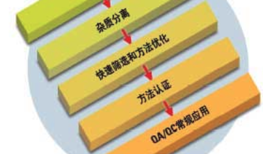 雜質(zhì)分析